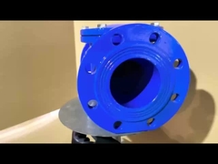 OEM резиновый сиденье отливного железа чековый клапан с противовесом коррозионно устойчивым