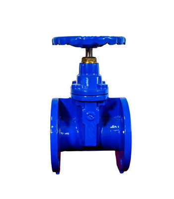 Flanged Soft Seat Gate Valve Rising Stem For Metallurgy