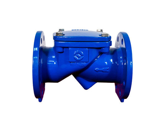 OEM Rubber Seat Cast Iron Check Valve With Counterweight Corrosion Resistant
