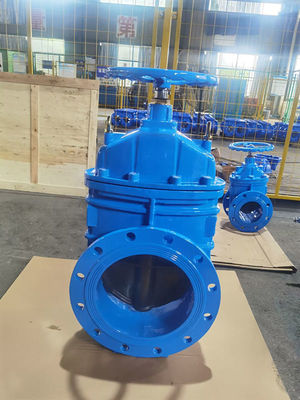 OEM 10" Soft Seat Gate Valve Ductile Iron Valves DN250