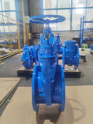 OEM 10" Soft Seat Gate Valve Ductile Iron Valves DN250