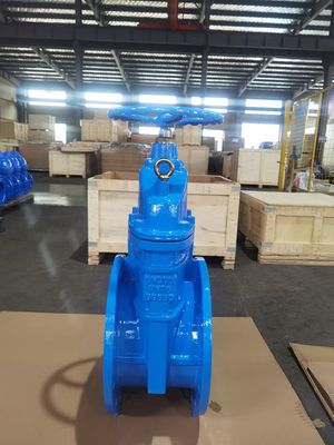 OEM 10" Soft Seat Gate Valve Ductile Iron Valves DN250