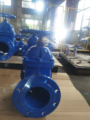 F5 PN10 PN16 Cast Iron DN150 Gate Valve 6 Inch ISO5208 Standard