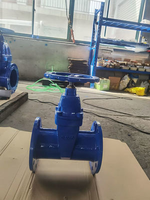 F5 PN10 PN16 Cast Iron DN150 Gate Valve 6 Inch ISO5208 Standard