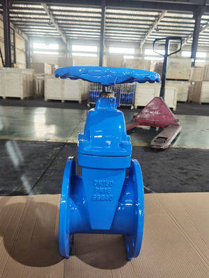 Rising Stem Water Supply Gate Valve DN150 DIN3352/EN558-1 ODM