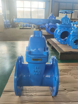 Pipeline Electric Ductile Iron Gate Valve 100mm Customized