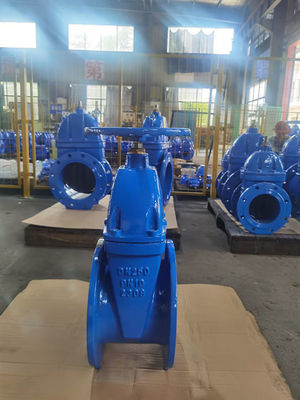 F4 Oem Gate Valve Cast Iron Manual Electric Actuated DN50