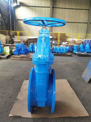 Rising Stem Soft Seat Gate Valve GGG40 GGG50 for Industrial