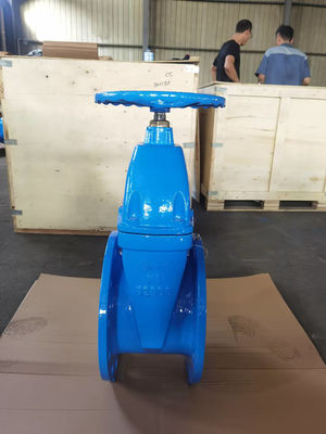 Class A DN50 Rising Stem Gate Valve Resilient Wedge Valve ANSI Standard
