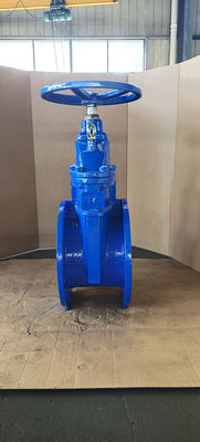 DIN Cast Iron Soft Seat Gate Valve PN16 Non Rising Stem Customized