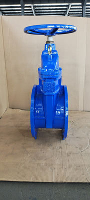 DIN Cast Iron Soft Seat Gate Valve PN16 Non Rising Stem Customized
