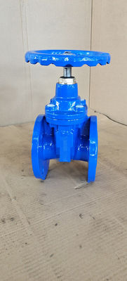 Resilient Soft Seated 2 Inch Water Gate Valve PN10 PN16 Custom