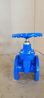 Resilient Soft Seated 2 Inch Water Gate Valve PN10 PN16 Custom
