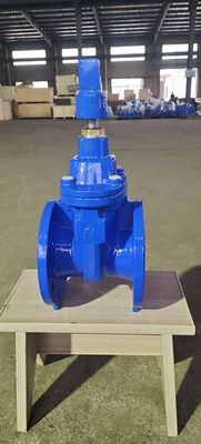 Soft Seat Resilient Seated Valves Gate Valve 80mm For Industrial