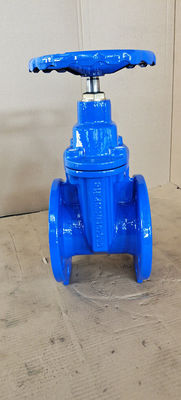 Horizontal Ductile Iron Soft Seat Gate Valve For Electric Actuator Operation ODM