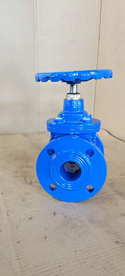 Resilient Soft Seated 2 Inch Water Gate Valve PN10 PN16 Custom