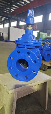 Soft Seat Resilient Seated Valves Gate Valve 80mm For Industrial