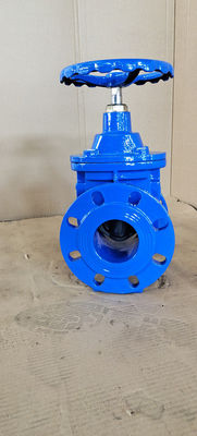 Horizontal Ductile Iron Soft Seat Gate Valve For Electric Actuator Operation ODM