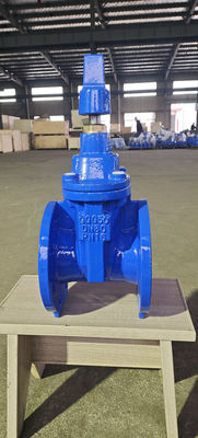 Soft Seat Resilient Seated Valves Gate Valve 80mm For Industrial