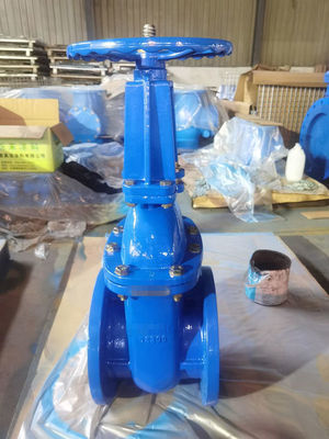 ODM Cast Iron Floating DN150 Gate Valve for Waterline