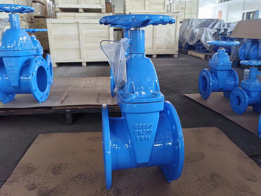 BS5163 CI 200mm Gate Valve For Water Line Resilient Seated