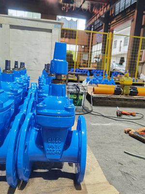 F4 Flanged Resilient Pipe Gate Valve DN50-DN800 for industrial