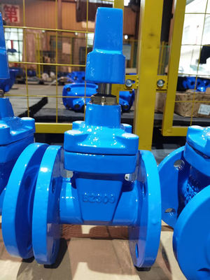 Soft Seated DIN3202-F4 Gate Valve Fire Hydrant DI Custom