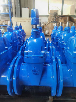 Flanged Connection Cast Iron BS5163 Gate Valve For Sewage Applications