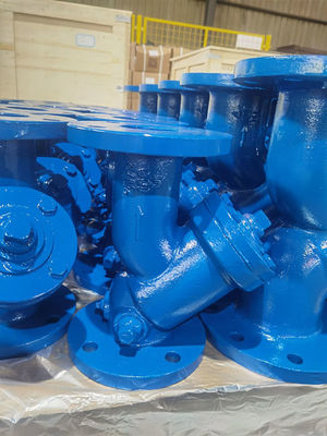 CI Y Strainer Valve With Basket Design SS304 / SS316 For Efficient Filtration