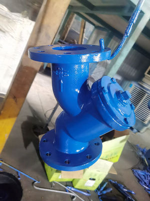 Water / Steam / Oil Media Y Strainer Valve Flanged Connection Durable Design