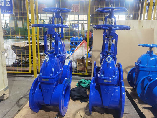 GGG40 / GGG50 Wedge Gate Valve For Flanged Connection In Industrial Settings