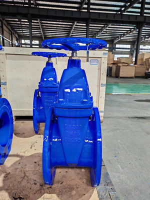 F4 DIN3202-F4/EN558-14 Gate Valve With Non Rising Stem EPDM Gasket And CE/ISO Certification
