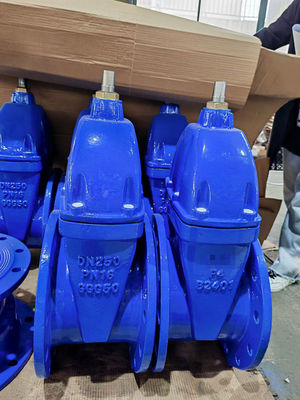 Fusion Bonded Epoxy F4 Gate Valve DIN3352 Standard Soft Seat Valve For Manual Operation PN10/PN16