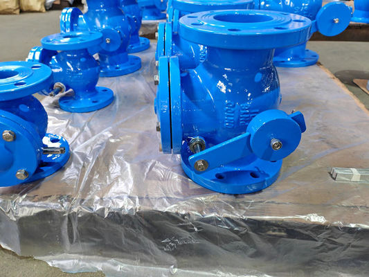 Swing Check Valve With Counter Weight Cast Iron Metal Soft Sealing DIN3356-BS5153 ANSI JIS Valve