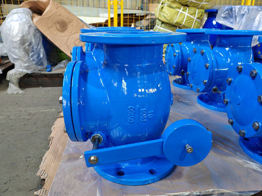 Cast Iron Metal Seat Check Valve For Pressure Rating PN10-PN16/ 125lb-150lb/ 5K-10K