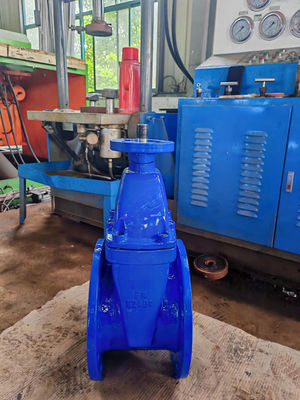 F4 Resilient Wedge Gate Valve With Epoxy Coating Flange End Connection CE ISO Certified