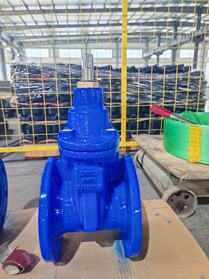 Soft Seat Non-Rising Stem Wedge Gate Valve With PN10/PN16/125lb-150lb Pressure Rating