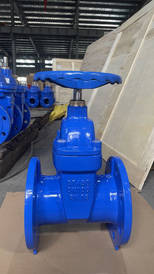 and Long-Lasting BS5163 Gate Valve for Industrial Applications