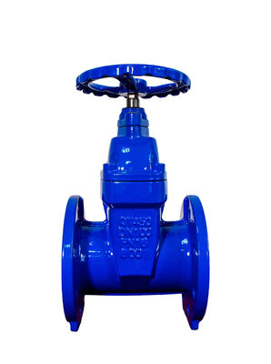 BS5163 Non-rising Stem Soft Seal Gate Valve For Industrial