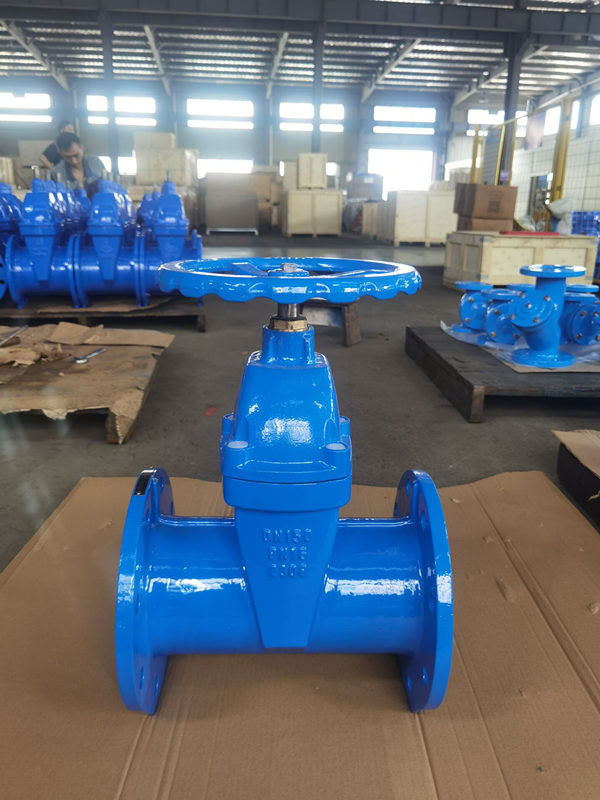 F5 PN10 PN16 Cast Iron DN150 Gate Valve 6 Inch ISO5208 Standard