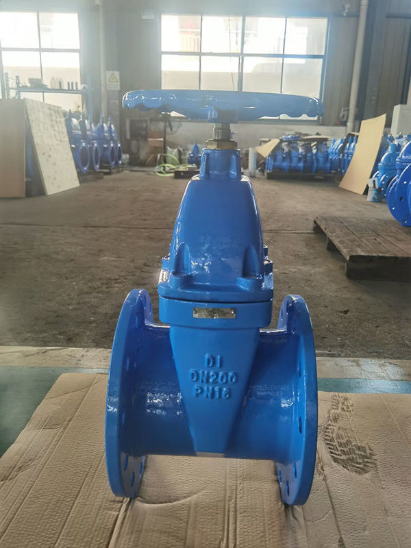 8" AFC BS5163 Gate Valve For Industrial Mining Resilient Wedge