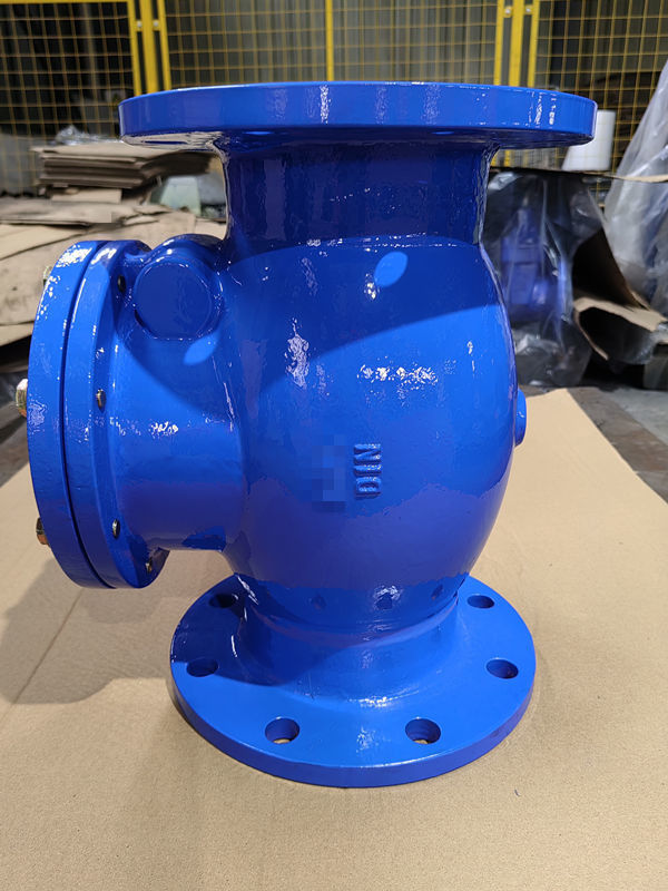 Metal Seat Oem Valve Iron Swing Check Valve EN1092/BS4504 End Connection