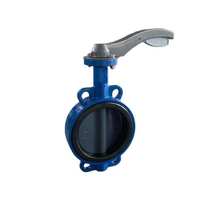 Cast Iron Lug Type Valve Butterfly Valve PN10 DIN3202 Custom
