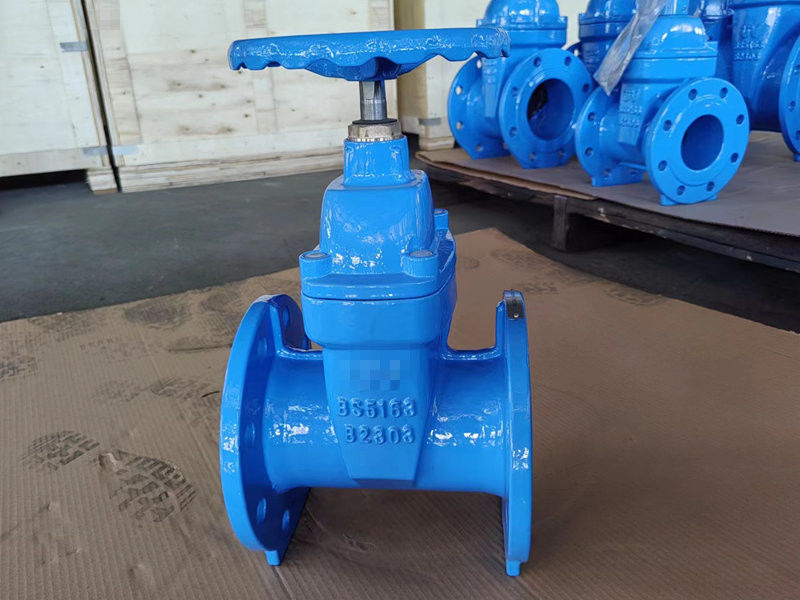 CI Sluice Sewage BS5163 Gate Valve With BS4504 End Flange